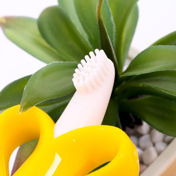Bán buôn dụng cụ gặm nướu Baby Banana - Mỹ