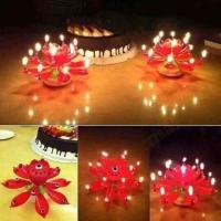 Nến Sinh Nhật 3D Tự Động : Nở hoa - Xoay tròn - Phát nhạc SN