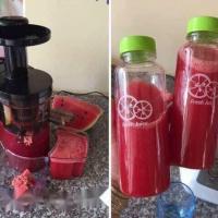 Máy Ép Chậm SAVTM
