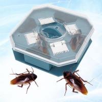 Dụng Cụ Bắt Gián Hiệu Quả