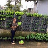 Túi Trồng Cây