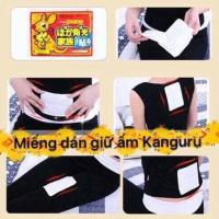Miếng dán giữ nhiệt Chuột Túi xuất xứ từ Nhật Bản