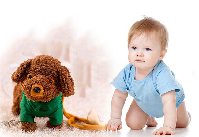 Chó biết nhày biết hát 52 bài