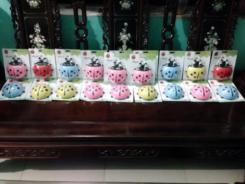dung-cu-dung-ban-chai-kem-danh-rang-hinh-chu-bo-8