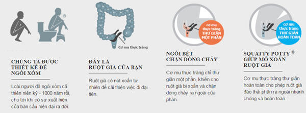 Ghế kê chân toilet , chống táo bón Chefman