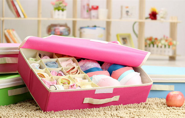 hộp đựng đồ lót 16 ngăn có nắp đậy