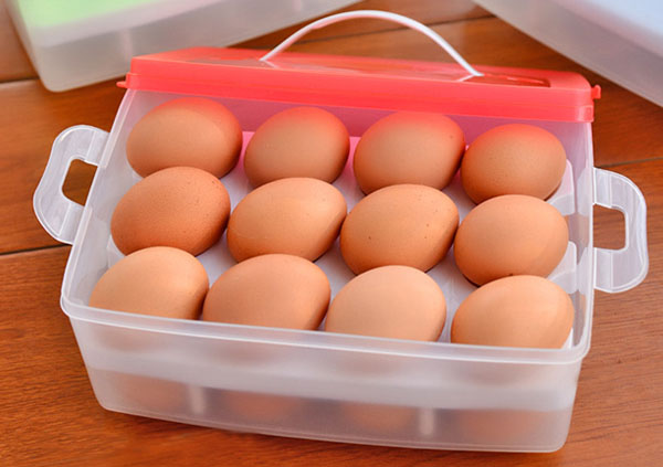 Bán buôn hộp đựng trứng 2 tầng 24 quả