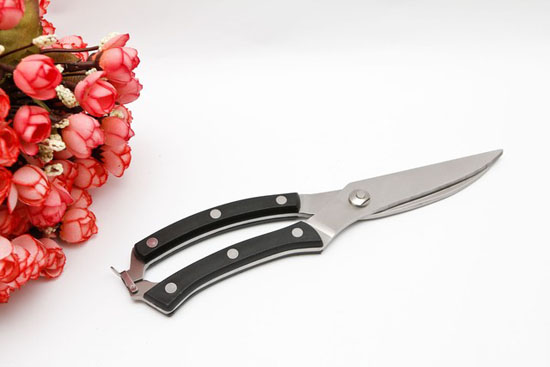 Bán buôn kéo cắt thịt gà tiện dụng