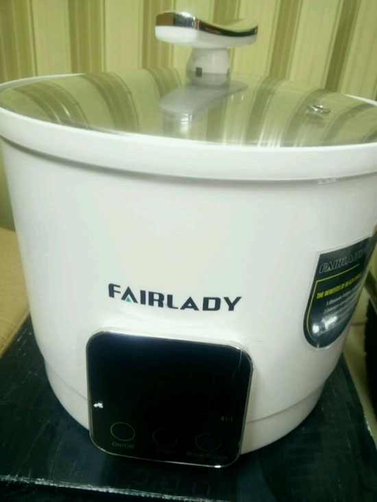 Bán buôn máy làm tỏi đen tại nhà Fairlady DH-809