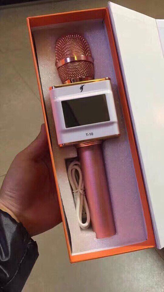 Mic karaoke kèm loa T-10