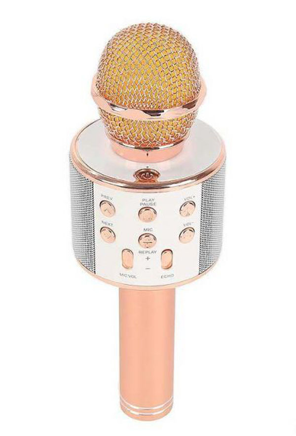 Mic karaoke kèm loa bluetooth wster ws-858