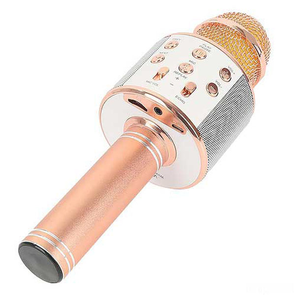 Mic karaoke kèm loa bluetooth wster ws-858