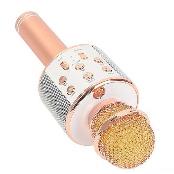 Mic karaoke kèm loa bluetooth wster ws-858