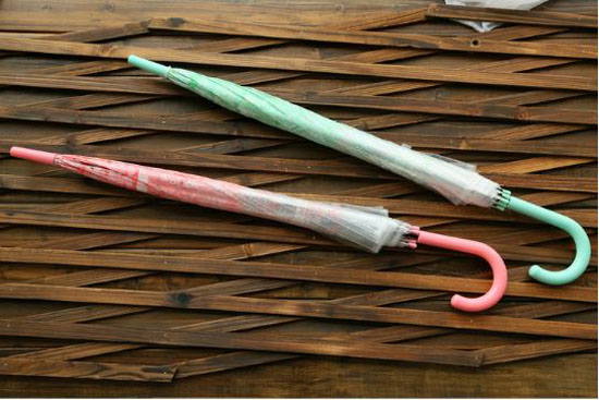 Ô trong suốt in hình hoa mẫu mới