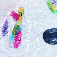 Cá cảnh chạy pin có đèn led Robo Fish