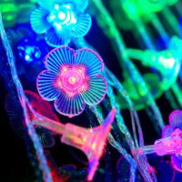 Đèn led trang trí hình hoa mai , bướm xinh