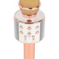 Mic karaoke kèm loa bluetooth wster ws-858