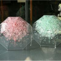 Ô trong suốt in hình hoa mẫu mới
